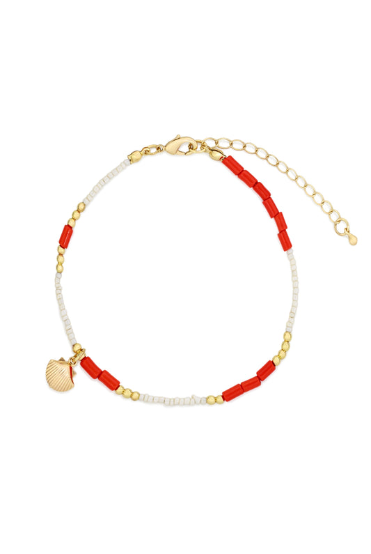 Shell Anklet