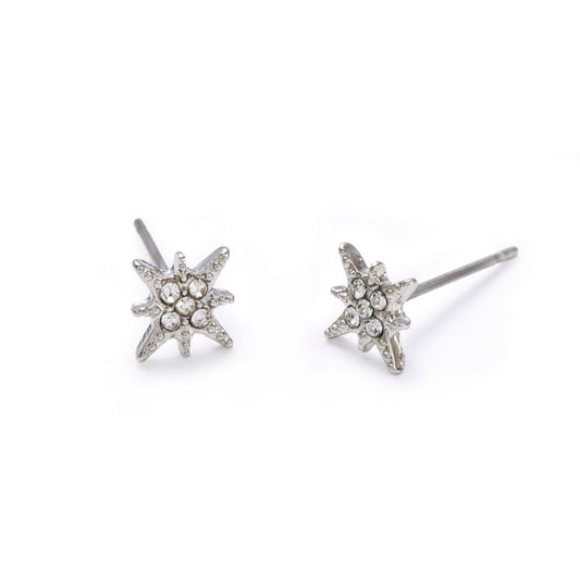 Sparkly Star Earstuds